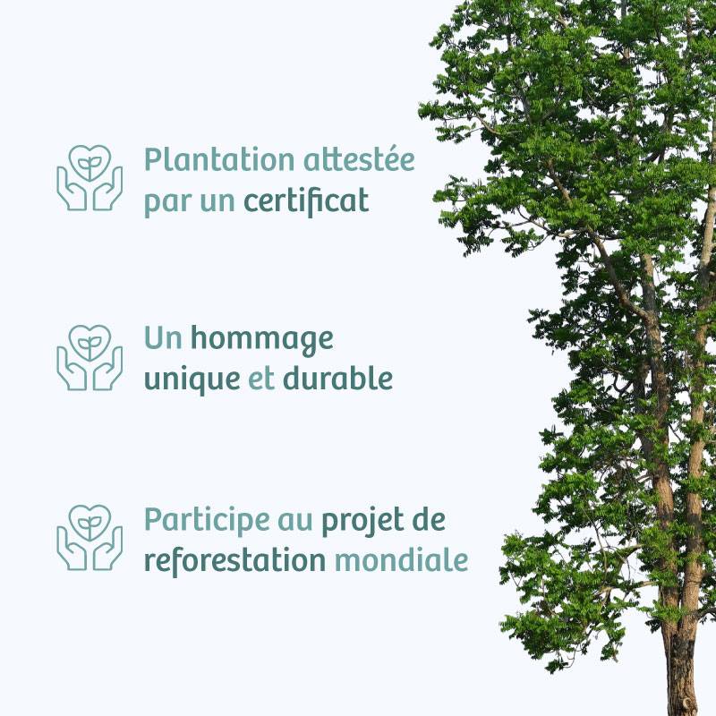 Planter un arbre en hommage à Mme ANNE-MARIE POUPARDIN Née COULON